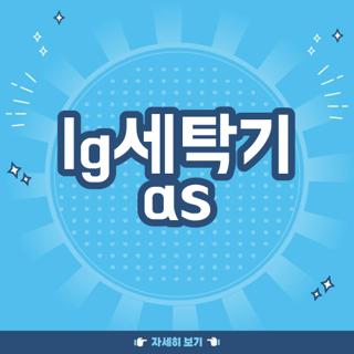 lg세탁기 as